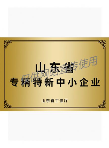省級專(zhuān)精特新中小企業(yè)