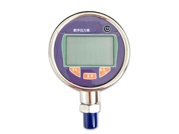 DY-YLB數字壓力表